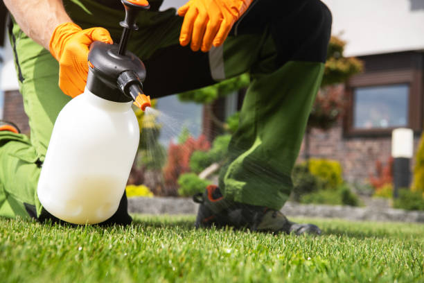 Best Pest Removal Services  in Dallas, OR